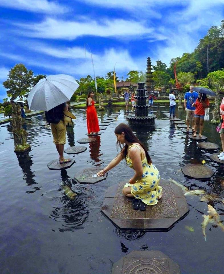 click here for photos of our tours